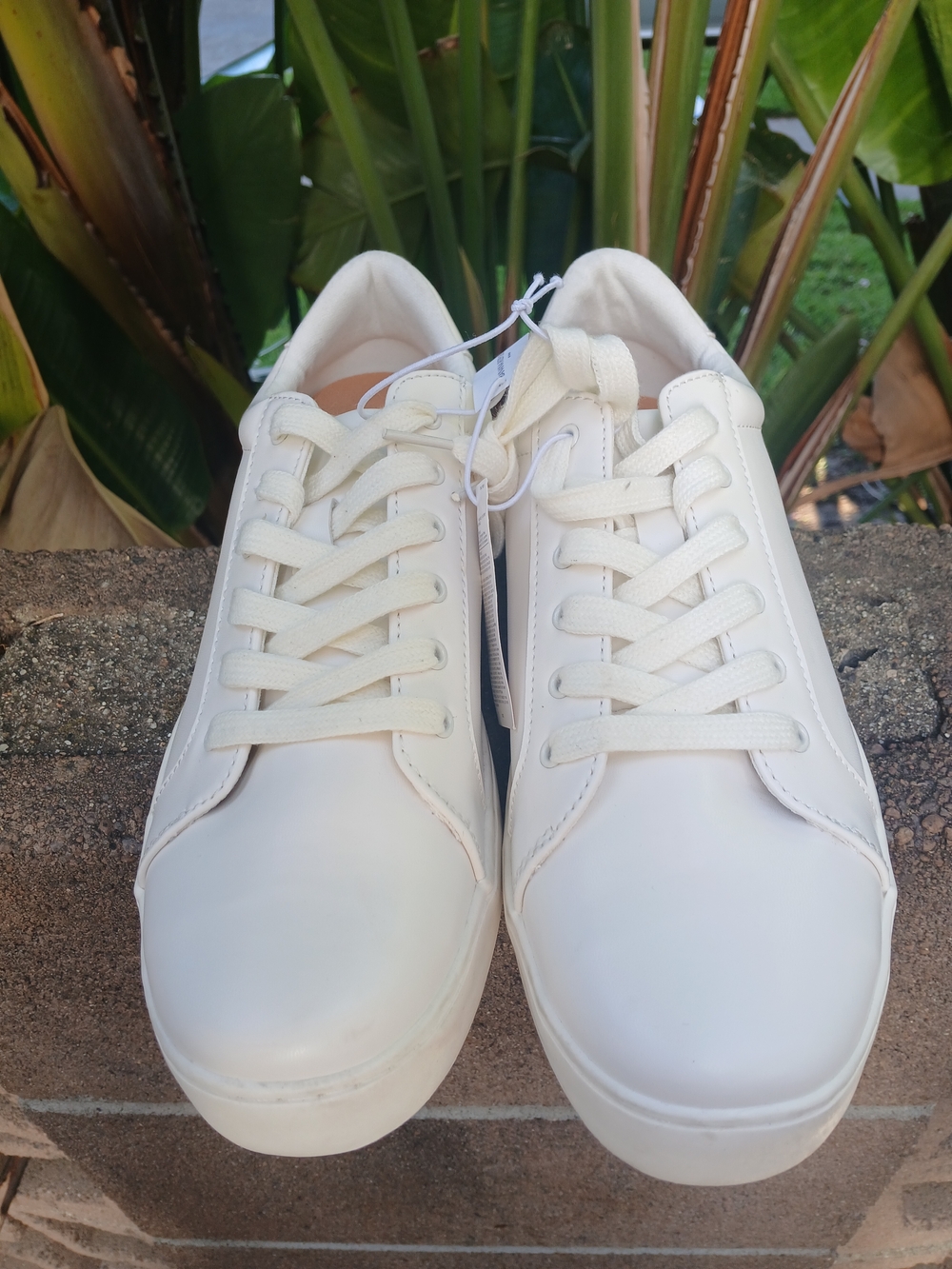 Classic White Men's Low-Top Sneakers Size 10